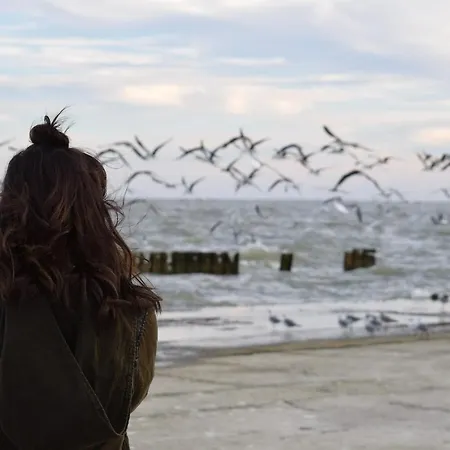 Lägenhet White Pearl 4 05