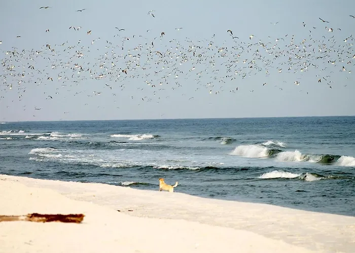 Lägenhet White Pearl 4 05 *